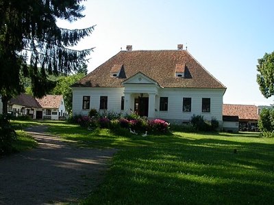 Conacul Domokos Gyula (Muzeul etnografic „Haszmann Pál”)