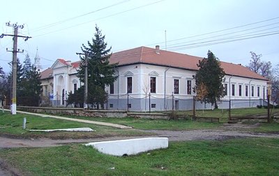 Castelul Zichy din Diosig