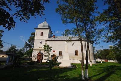 Curtea boierească a lui Luca Arbore (ruine)