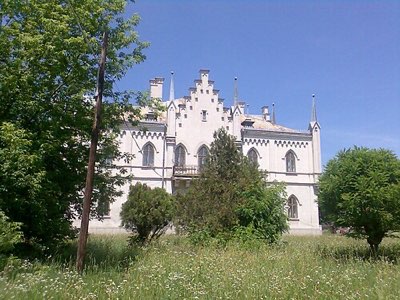 Palatul Alexandru Ioan Cuza de la Ruginoasa