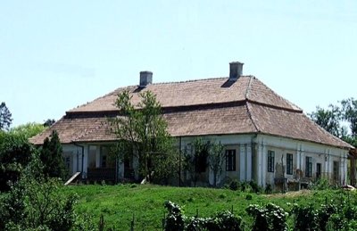 Castelul Wass din Țaga