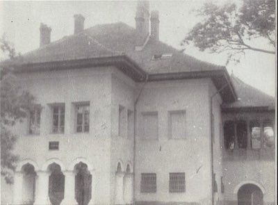 Palatul familiei Cantacuzino-Pașcanu