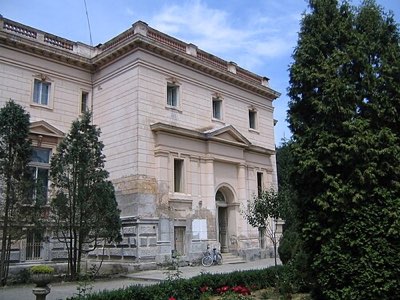 Castelul Teleki (Mocioni-Teleki)