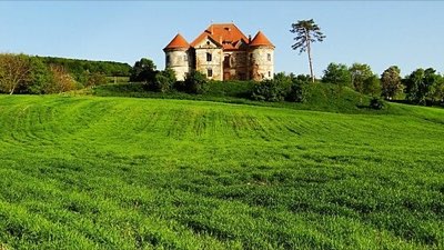 Castelul Pekri (Radák-Pekry)