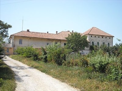 Conacul Vitez din Copăceni