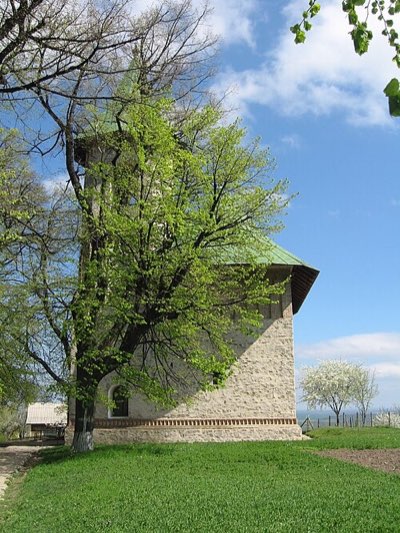 Castelul Cantacuzino-Ghica (Conacul Cantacuzino-Deleanu) din Deleni