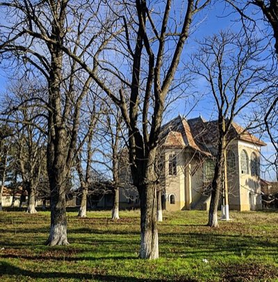 Conacul Voinea, cu anexe