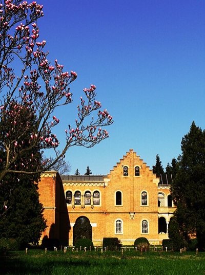 Castelul Cantacuzino-Pașcanu-Waldenburg