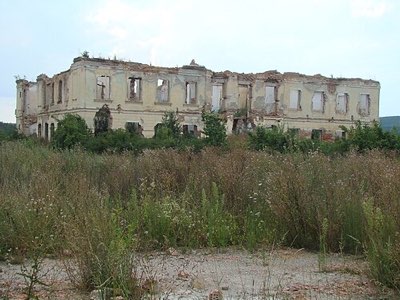 Castelul Huszár din Apalina
